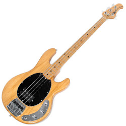 ベース / Stingray Bass