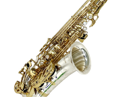 Yanagisawa A-9937