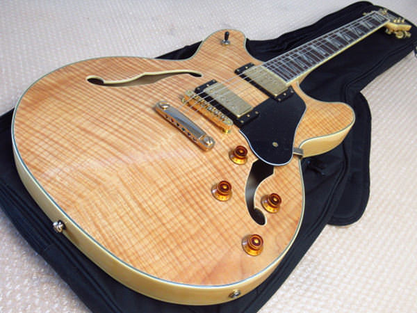 セミアコースティックギター1