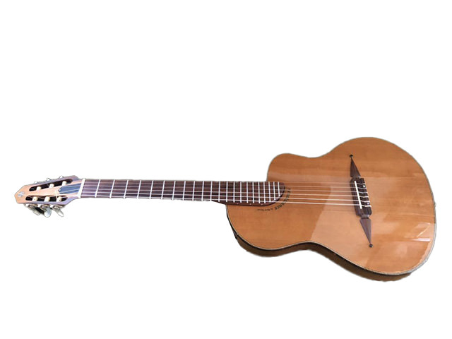 リック　ターナー　Renaissance R N6 ナイロン弦ギター