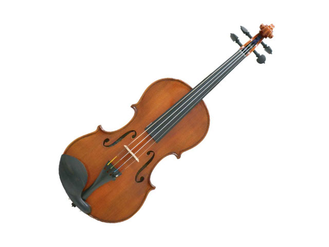 バイオリン RLN-05
