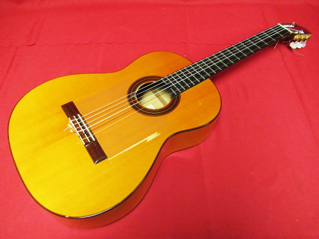 フラメンコギター1