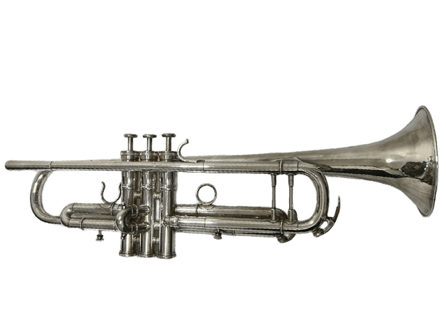 D. Calicchio トランペット 1S/7ML