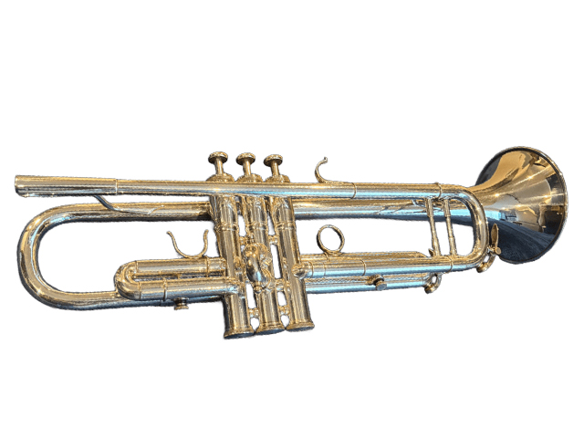 D. Calicchio トランペット 2-7