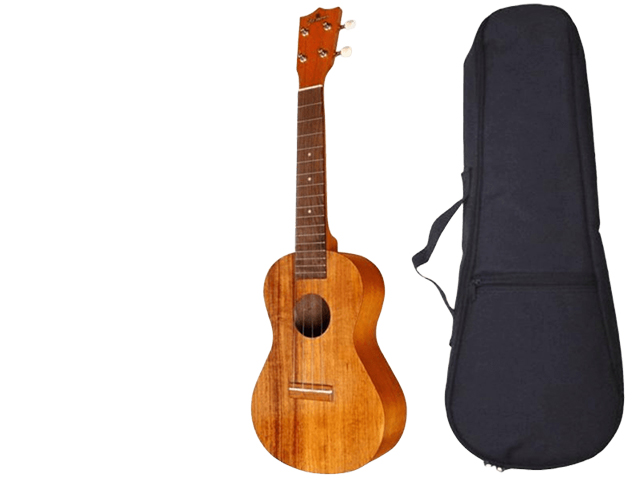 Famous FC-5G コンサートウクレレ