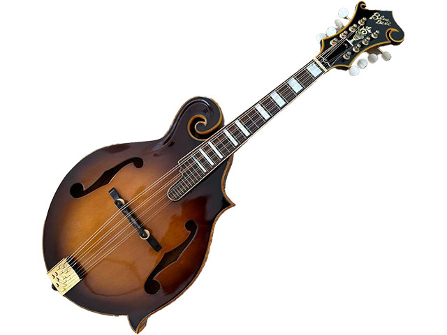 Blue Bellのマンドリン F-8