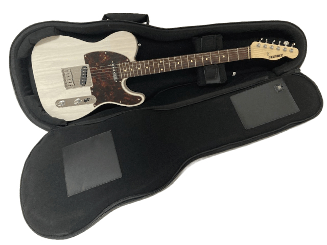 SCHECTER AC-TK-TE-WH/SIG