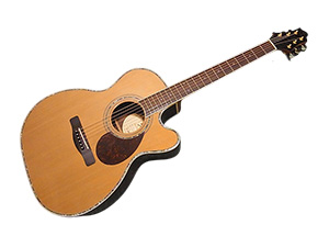 Greg Bennett SAMICK OM-8CE